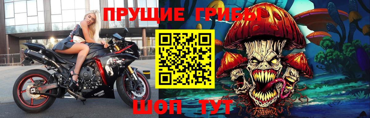 Галлюциногенные грибы Cubensis Гагарин