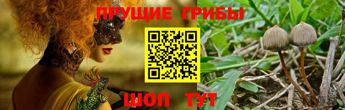 Псилоцибиновые грибы мухоморы  Вход с VPN  Галлюциногенные грибы Magic Shrooms  Гагарин 